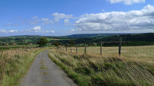 Glaisdale View