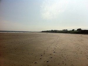 alnmouth to craster walk