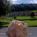 Riggwelter and raisin ice cream