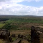 the top of the wainstones